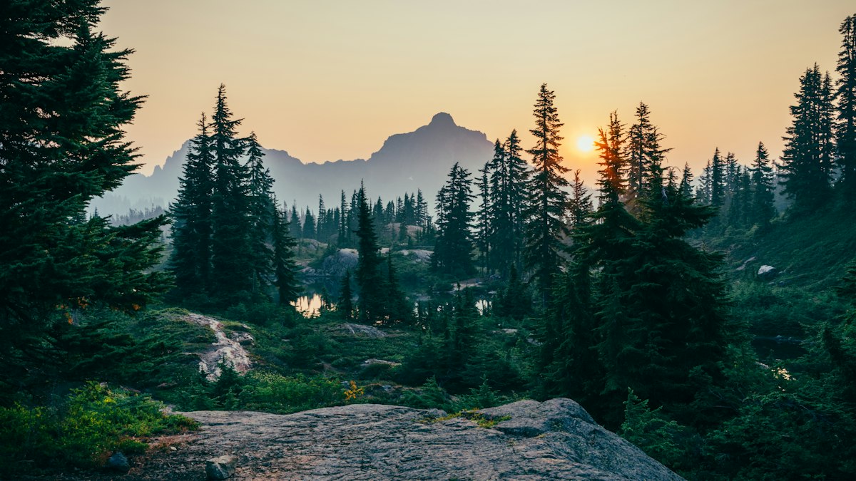 Landscape (stock)